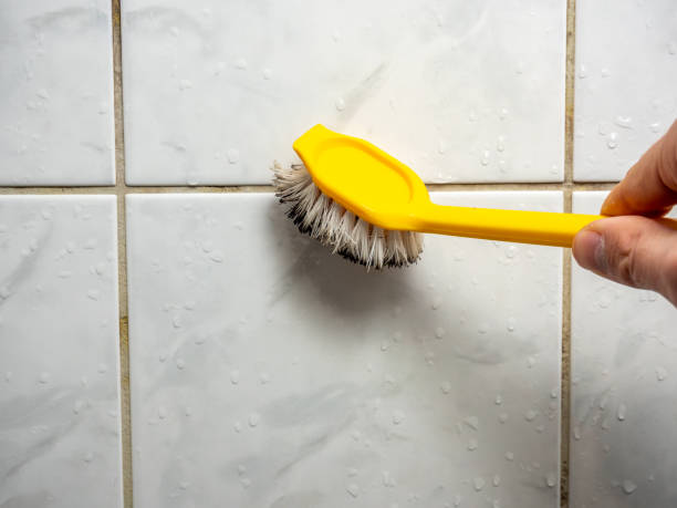 Best Affordable Mold Removal  in Williamston, NC