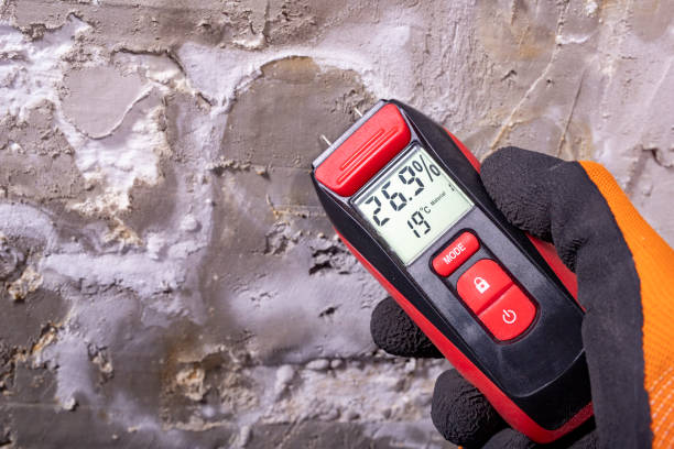 Best Professional Mold Removal  in Williamston, NC