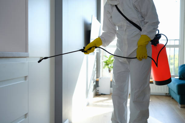 Best Emergency Mold Removal  in Williamston, NC