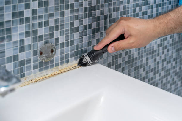 Best Mold Cleaning Services  in Williamston, NC